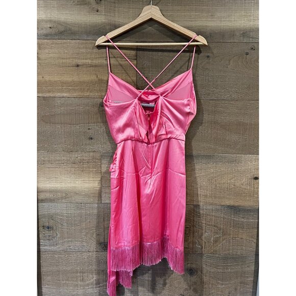 Cinq a Sept Octavia pink fringe Dress in Flamingo size 2 - Picture 6 of 11